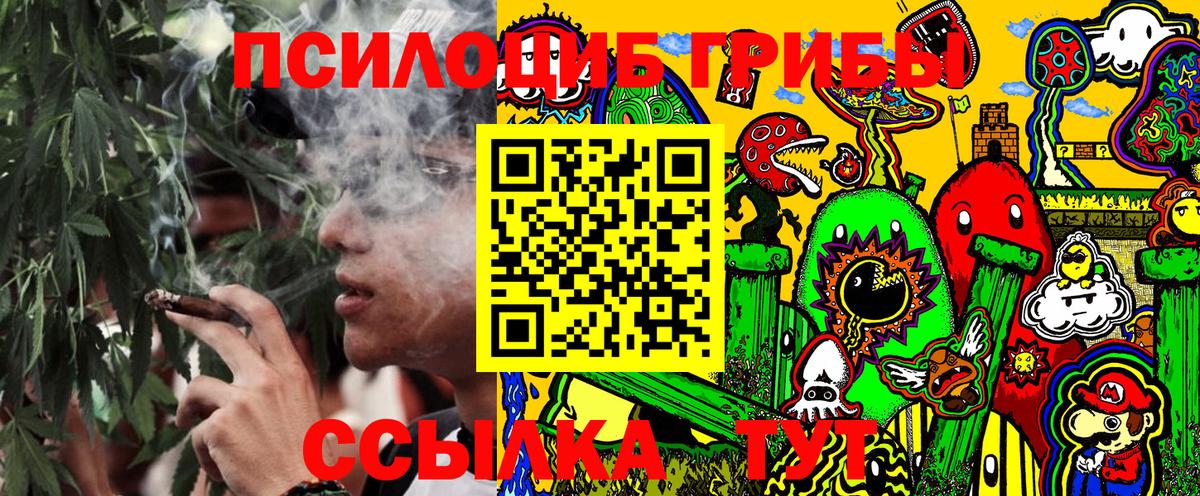 Псилоцибиновые грибы MAGIC MUSHROOMS  Вход с VPN  закладка  Электросталь 