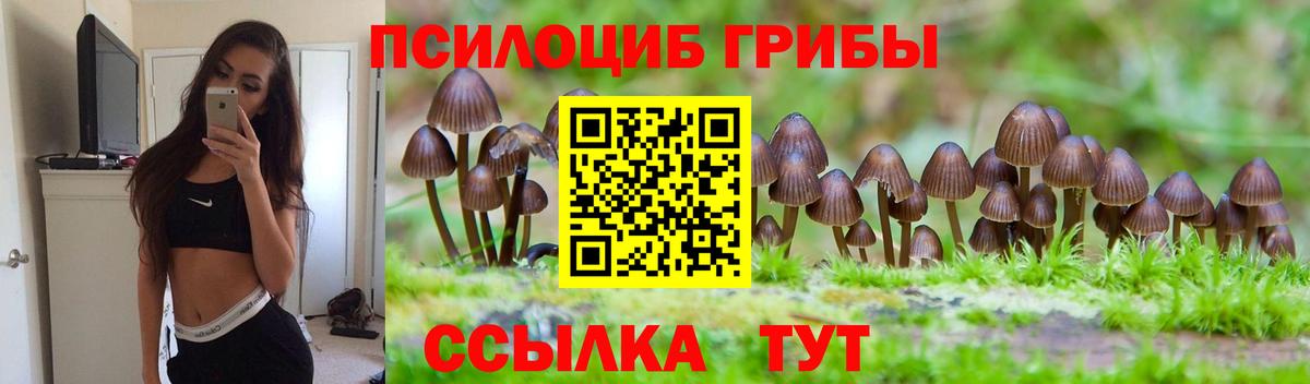 Псилоцибиновые грибы мицелий Электросталь